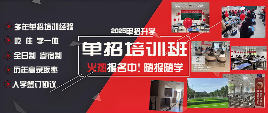 保定单招培训班，保定单招培训学校，保定单招培训机构